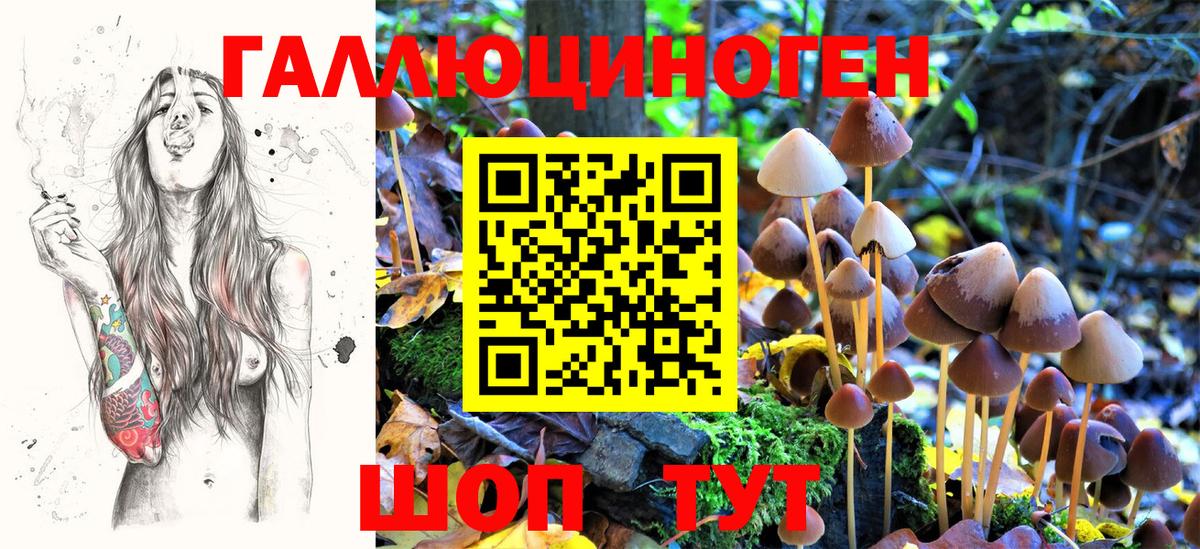 Псилоцибиновые грибы ЛСД  Вход с VPN  Кашира 