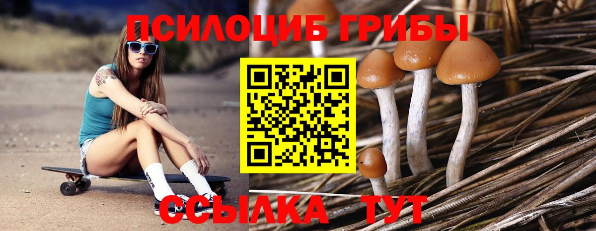 Галлюциногенные грибы GOLDEN TEACHER Кашира